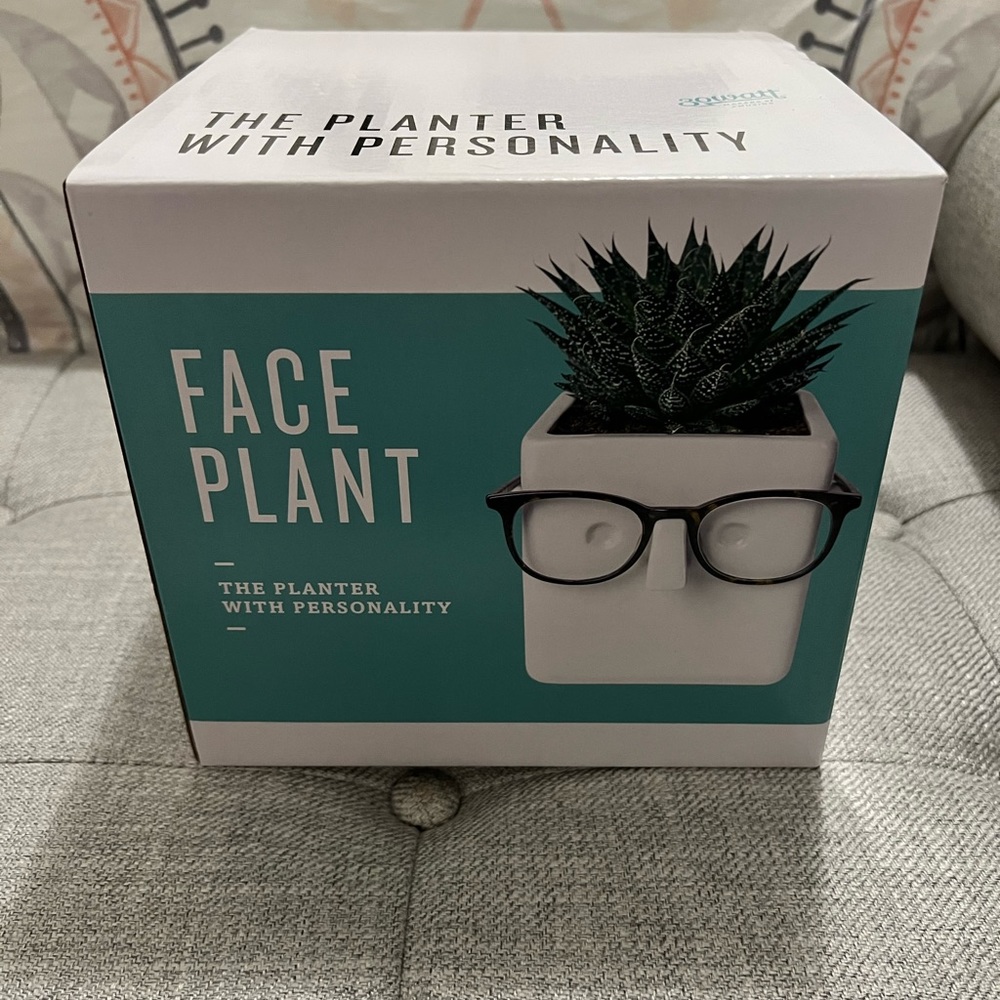 Face plant flower succulent pot